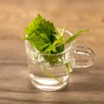 tisane-feuilles-framboisier-grossesse-feuilles-ilustration