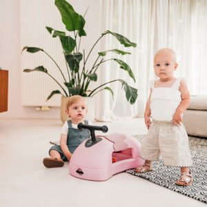 Scoot and Ride Mon premier trotteur bébé Steel ROSE